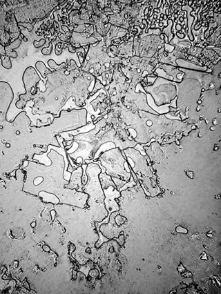 Illustration for article titled Tears of joy and tears of sadness look different under the microscope